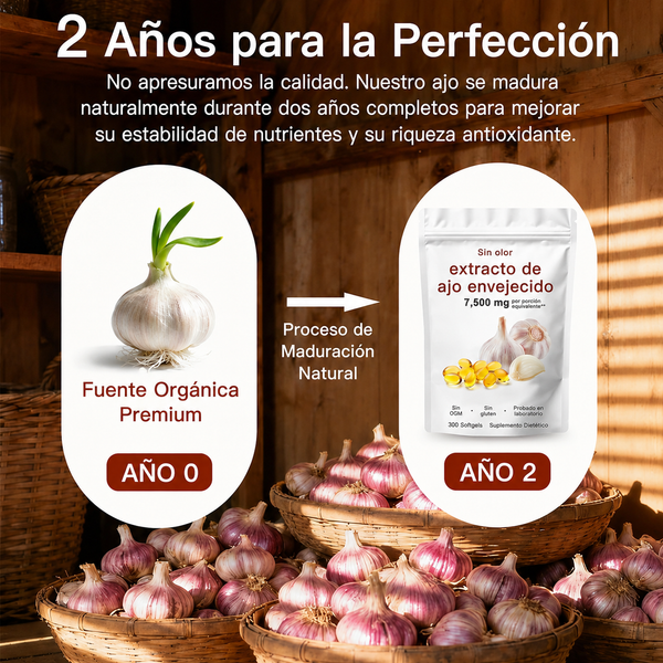 Ajo Envejecido Sin Olor Vital